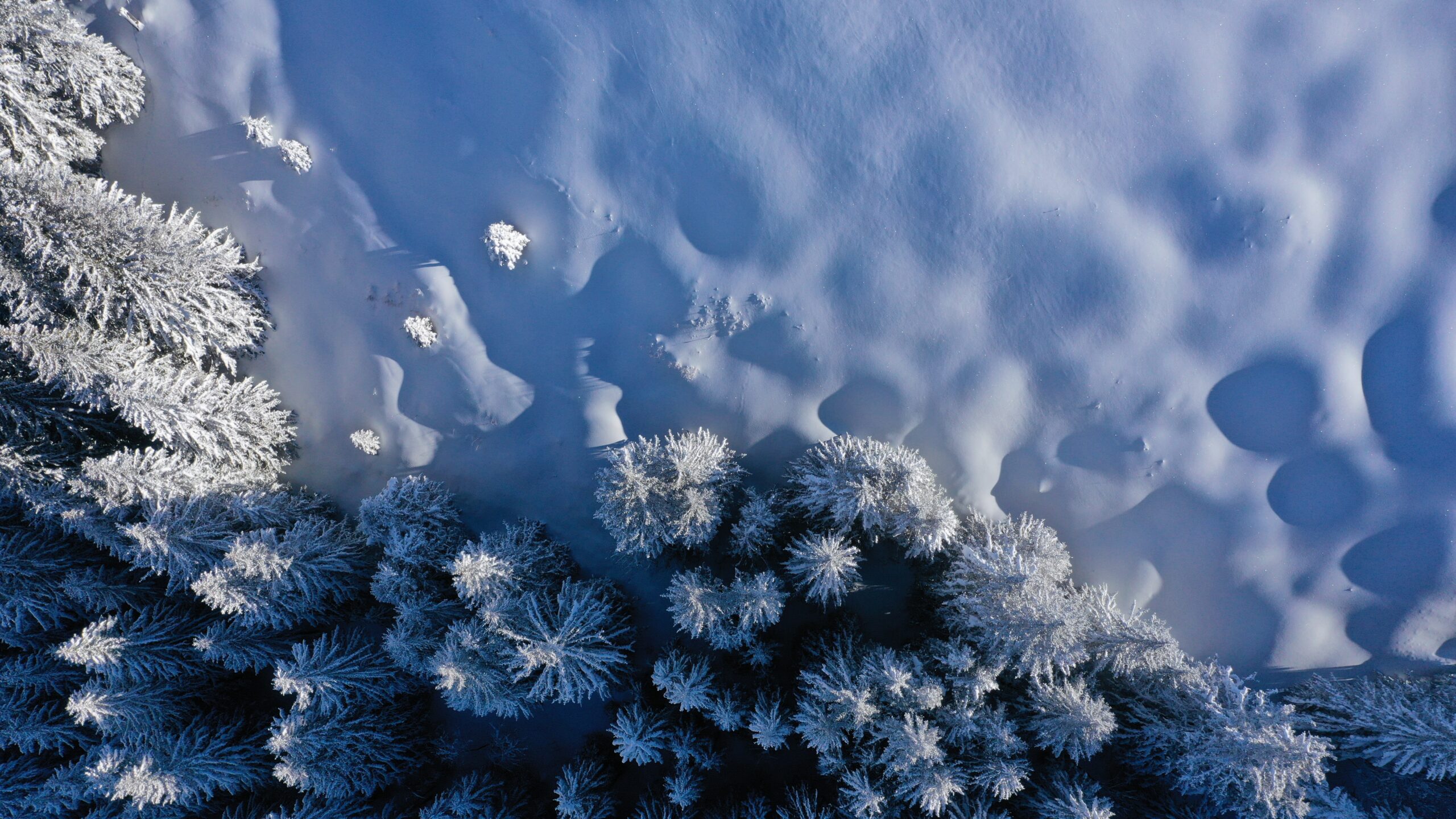 Sevenworld - Luftaufnahme einer verschneiten Landschaft auf Elsigen-Metsc